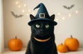 A black fluffy cat in a magic hat and orange Halloween pumpkins on light background Royalty Free Stock Photo