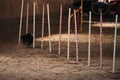 Black fluffy sheltie overcomes slalom with several vertical sticks sticking out of sand. Shetland Shepherd Dog rear view. Agility Royalty Free Stock Photo