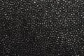 Black foam rubber texture Royalty Free Stock Photo