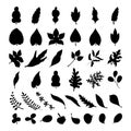 Black foliage silhouette collection doodle style isolated on white