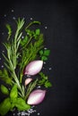 Black food background with fresh aromatic herbs and spices, copy