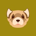 Black-Footed Ferret head vector illustration Flat