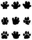 Black footprints of hippopotamus