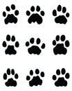 Black footprints of lions Royalty Free Stock Photo