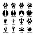 Black footprints shapes of animals. Elephant, leopard, reptile and tiger.