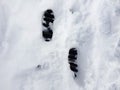 Black footprints on white snow