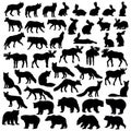 Black Forest Animal Silhouette Set Royalty Free Stock Photo
