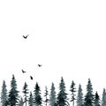 Black gloomy forest if and pine, birds watercolor background