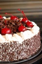 Black Forest cake