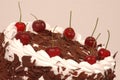 Black Forest cake with cherry Royalty Free Stock Photo