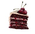 Black Forest Cake Royalty Free Stock Photo