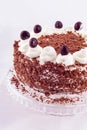 Black forest cake decorated with whipped cream and cherries. Royalty Free Stock Photo