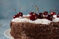 Black forest cake, Schwarzwald pie, dark chocolate and cherry dessert . Royalty Free Stock Photo