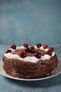 Black forest cake, Schwarzwald pie, dark chocolate and cherry dessert Royalty Free Stock Photo