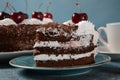 Black forest cake, Schwarzwald pie, dark chocolate and cherry dessert . Royalty Free Stock Photo