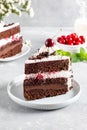 Black forest cake, Schwarzwald pie, dark chocolate and cherry dessert on a plate. Cherry cake with chocolate Royalty Free Stock Photo