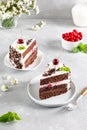 Black forest cake, Schwarzwald pie, dark chocolate and cherry dessert on a plate. Cherry cake with chocolate Royalty Free Stock Photo