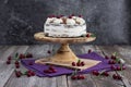 Black forest cake, or traditional austria schwarzwald cake from dark chocolate and sour cherries Royalty Free Stock Photo