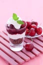 Black forest cherry dessert Royalty Free Stock Photo