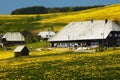 Black forest farmhouse in summer meadow