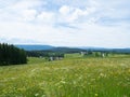 Black forest, Germany - May 28th 2022: Fantastic view over a wildflower meadow into the wide landscape Royalty Free Stock Photo