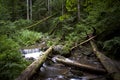 Black forest germany Royalty Free Stock Photo