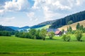 Black Forest Landschape Royalty Free Stock Photo