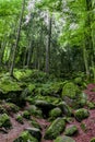 Black forest triberg - best landscape photos Royalty Free Stock Photo