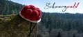 Black Forest Panorama Banner Greeting Card - Red traditional Bollenhut on tree trunk in the forest, with fir trees in the