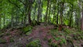 Black forest triberg - best landscape photos Royalty Free Stock Photo