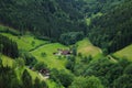 Country life in Black Forest valley landscape