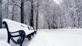 Black forged benches covered with snow in winter park. White snowy empty pathway Royalty Free Stock Photo