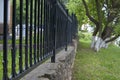 Black forged fence on a concrete foundation. Royalty Free Stock Photo