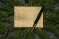 Black fountain pen on an old piece of paper against the background of spruce branches. Royalty Free Stock Photo