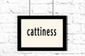 Black frame hanging on white brick wall with inscription cattiness Royalty Free Stock Photo