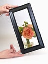 Black Framed Floral Royalty Free Stock Photo