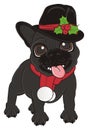 Black french bulldog in christmas costume Royalty Free Stock Photo