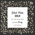 Black Friday autumn elegant collection trendy chic gold blush background for social media