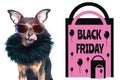 Black friday concept, photo and illustration, stylish dog with glasses licked, next to the packages and the inscription