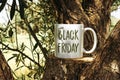 Black Friday concept text on White coffee mug mockup on tree trunk wood through olives tree Royalty Free Stock Photo