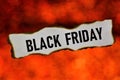 Black Friday is the Friday after thanksgiving. Christmas season sales, big discounts on goods in stores, the goal is a huge sales