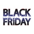 Black friday sale caption for banner, poster. Vector illustration inscription, lettering. EPS 10 title