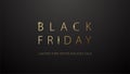 Black Friday Sale Simple Luxury Banner. Laconic logo golden text on black background. Limited time offer holiday sale. Discount Royalty Free Stock Photo