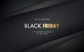 Black Friday vector banner.