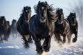 Black friesian horses running in the snow