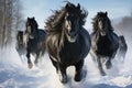 Black friesian horses running in the snow