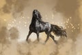 Black Friesian stallion horse in fog Royalty Free Stock Photo