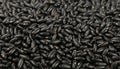 Black frigole kidney beans close up background Royalty Free Stock Photo