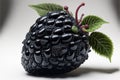 a black fruit with a green leaf on top of it\'s stem and a white background with a shadow of the frui