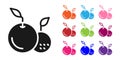 Black Fruit icon isolated on white background. Set icons colorful. Vector Royalty Free Stock Photo